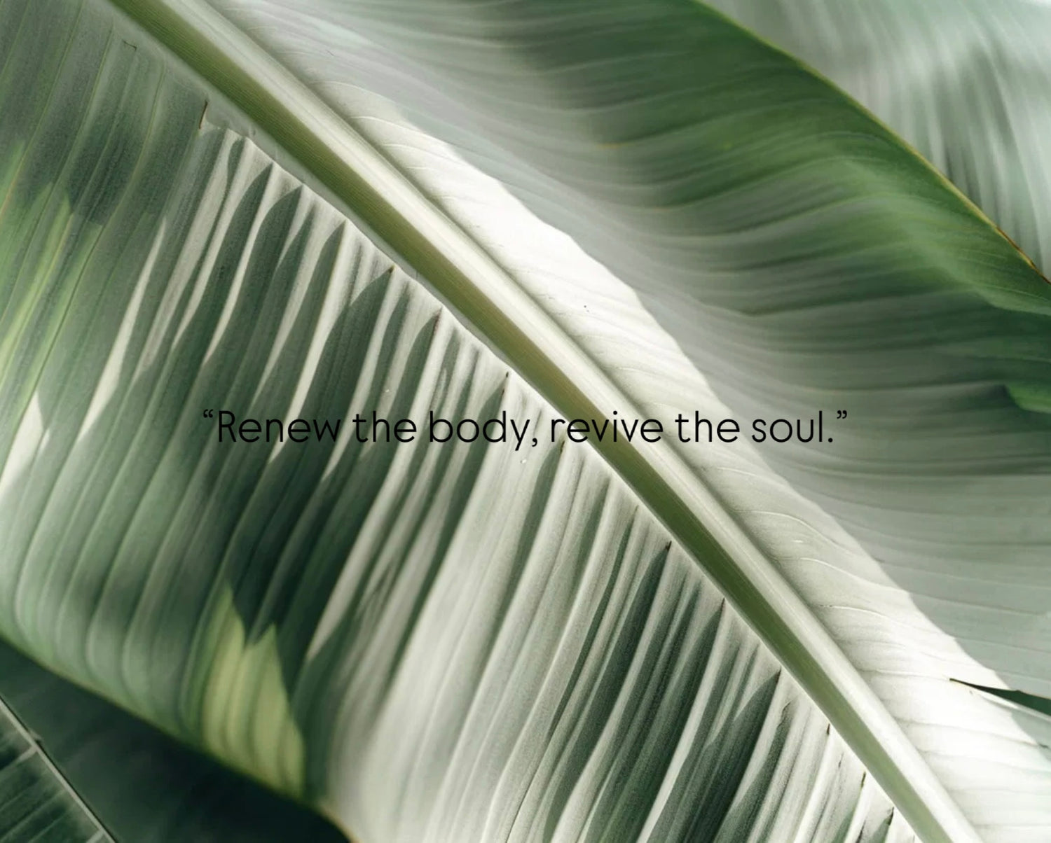 Mantras for Wellness